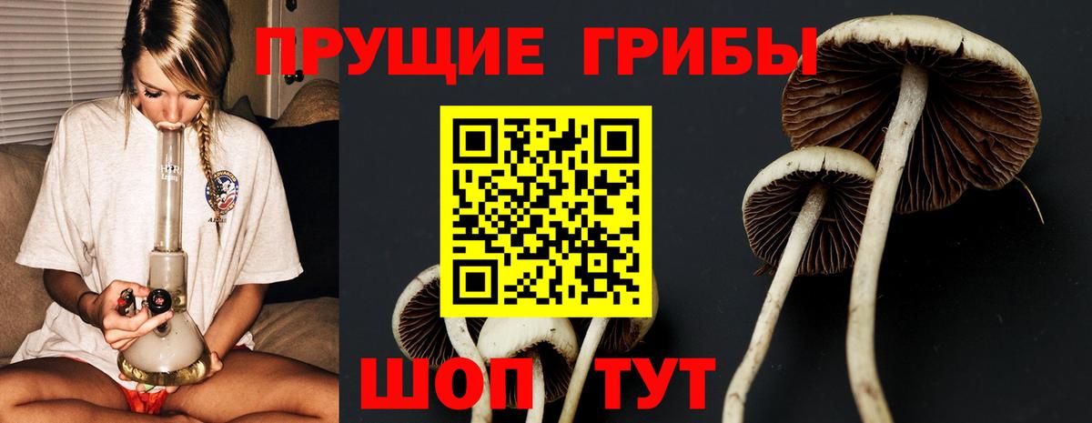 Галлюциногенные грибы ЛСД Михайловск