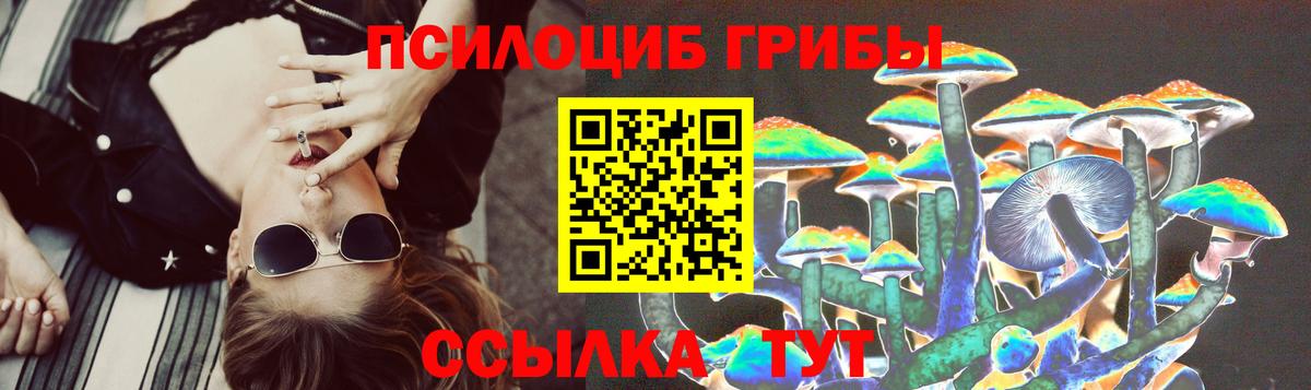 Галлюциногенные грибы мицелий  Вход с VPN  Михайловск 